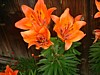 DSCF0047.jpg
