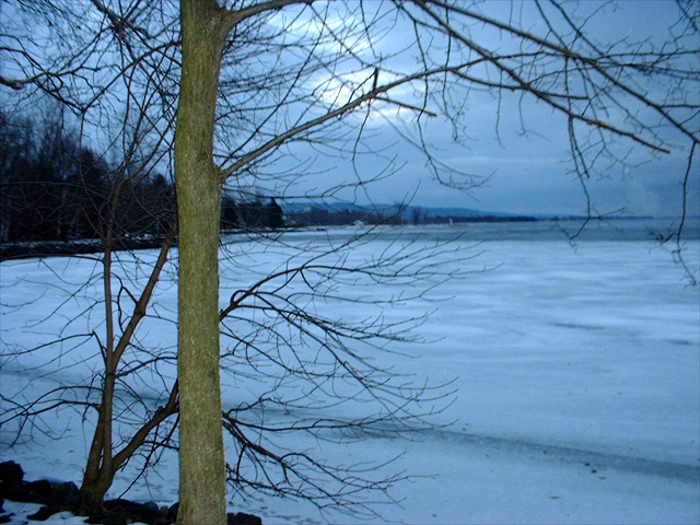 DSCF0019.jpg