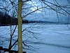 DSCF0019.jpg