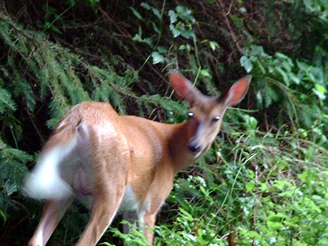 DSCF0019.jpg