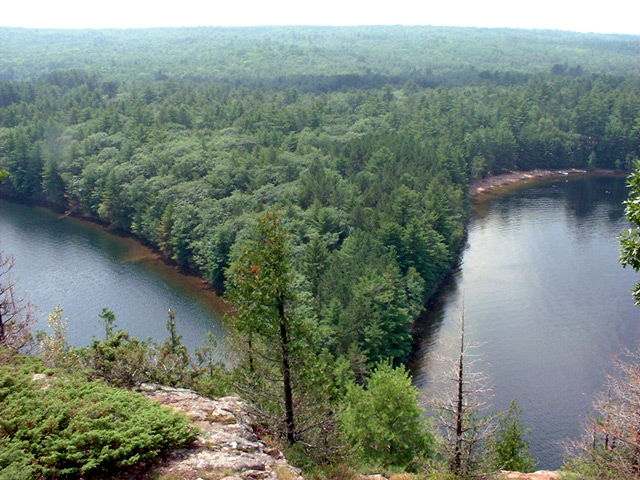 DSCF0046.jpg