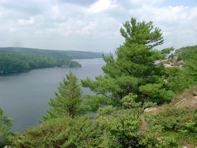 DSCF0047.jpg