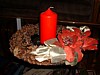 DSCF0075.jpg