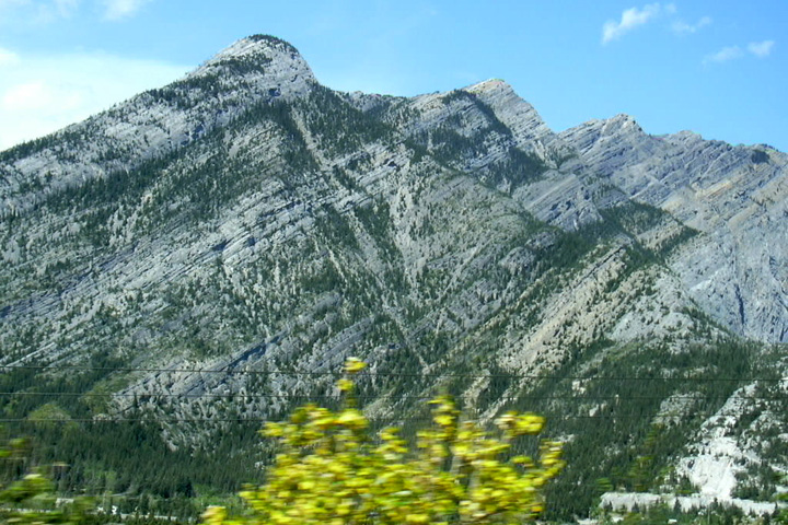 DSCN0010.jpg