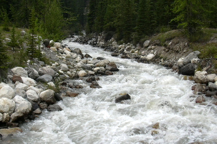 DSCN0035.jpg
