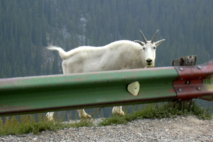 DSCN0044.jpg