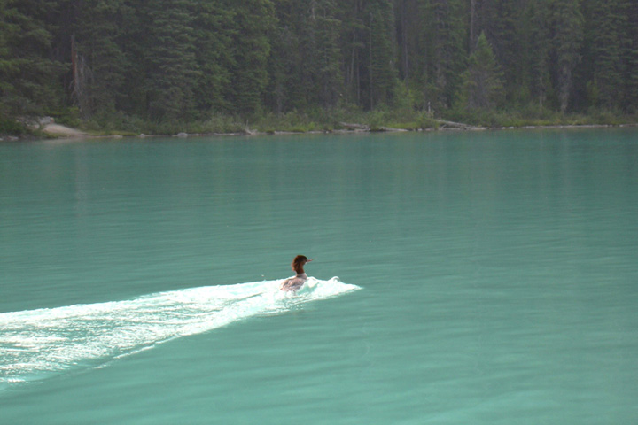 DSCN0168.jpg