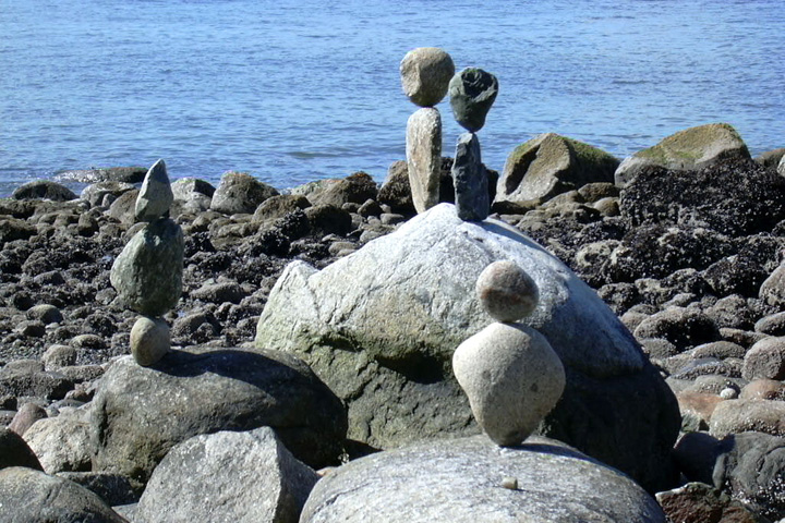 DSCN0234.jpg