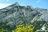 DSCN0010.jpg