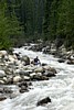DSCN0036.jpg