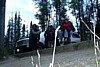 DSCN0119.jpg