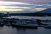 DSCN0227.jpg