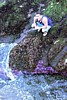 DSCN0231.jpg