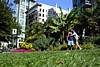 DSCN0238.jpg