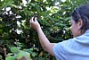 DSCN0243.jpg