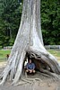 DSCN0264.jpg