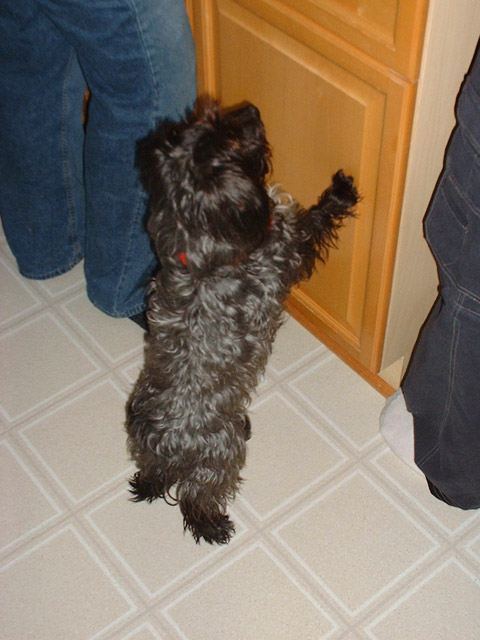 DSCF0061.jpg