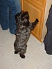 DSCF0061.jpg