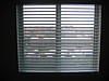 IMG_0746.jpg