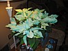 074-IMG_1708.jpg