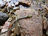 041MR-DSC01365.jpg