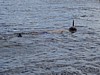 045MR-DSC01374.jpg