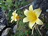 076MR-DSC01481.jpg