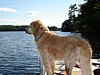 079MR-DSC01490.jpg