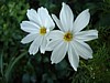 081MR-DSC01493.jpg