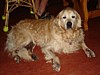 108MR-DSC01533.jpg