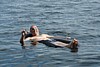 148BB-DSC04749.jpg