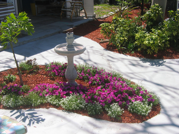 26 Harvey's-Flowers6.jpg