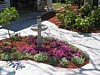 26 Harvey's-Flowers6.jpg