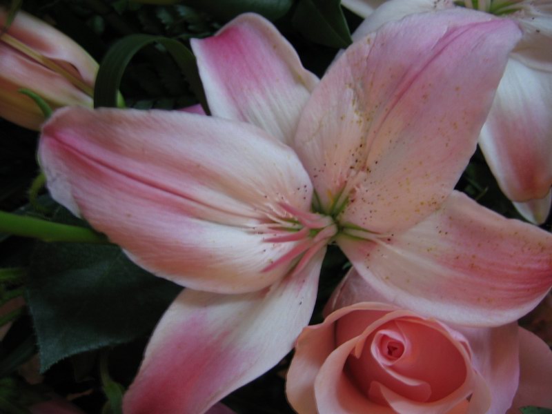 35JSwedding 081.jpg