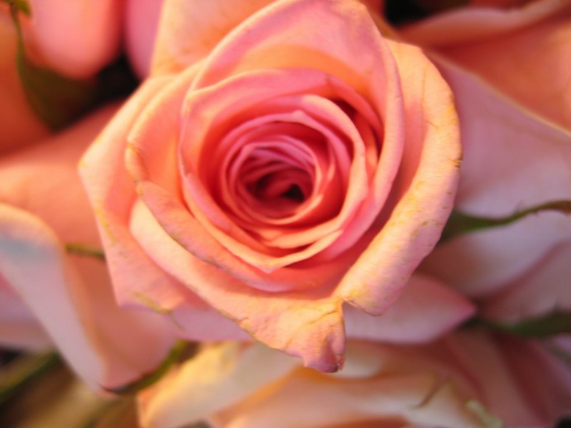 37JSwedding 044.jpg