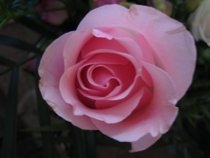 38JSwedding 092.jpg