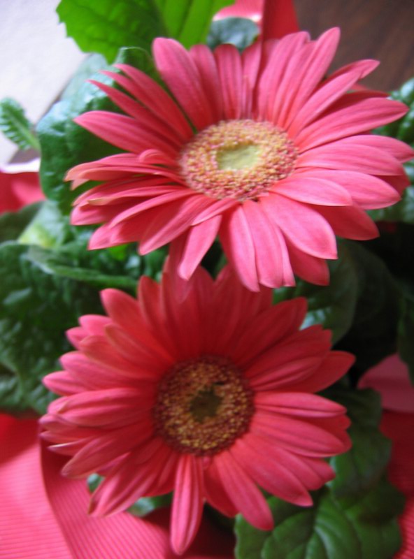 39JSwedding 093.jpg