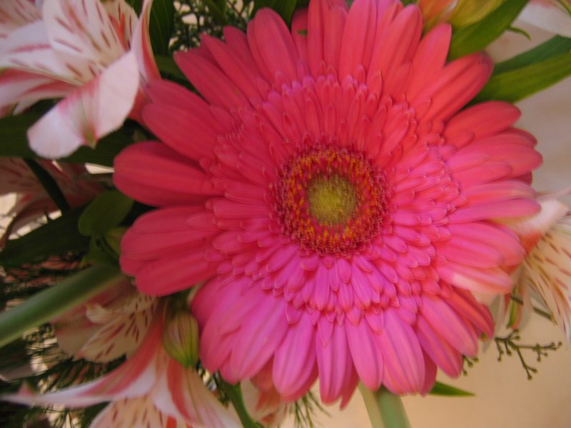 41JSwedding 096.jpg