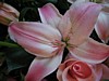 35JSwedding 081.jpg
