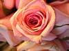 37JSwedding 044.jpg