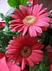 39JSwedding 093.jpg