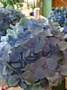 40JSwedding 095.jpg