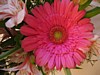 41JSwedding 096.jpg