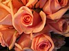 42JSwedding 098.jpg