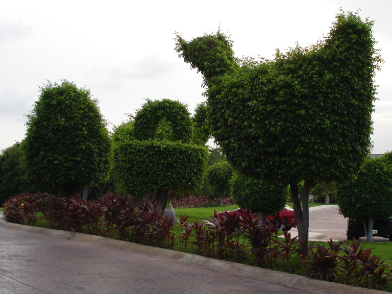 DSC00752.jpg