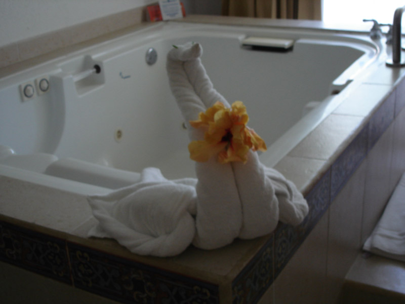 DSC00800.jpg