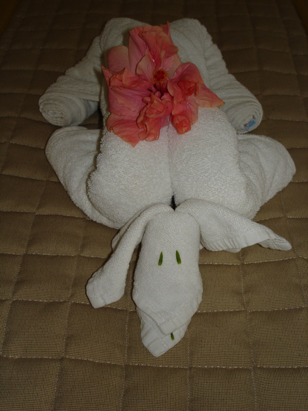 DSC00805.jpg