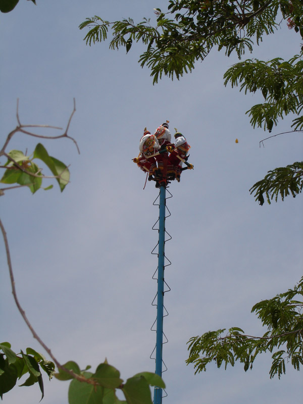 DSC00844.jpg