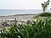 DSC00729.jpg
