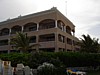 DSC00736.jpg